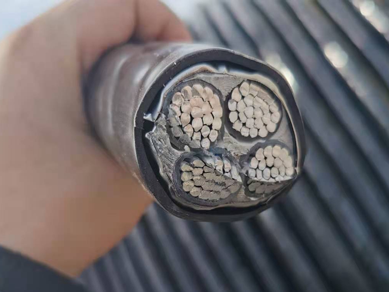 鎧裝電纜價格比普通電纜的貴憑什么？