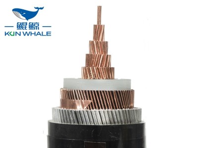 電工老師傅對(duì)你說(shuō)，高壓電力工程電纜金屬材料鎧裝有什么種類？